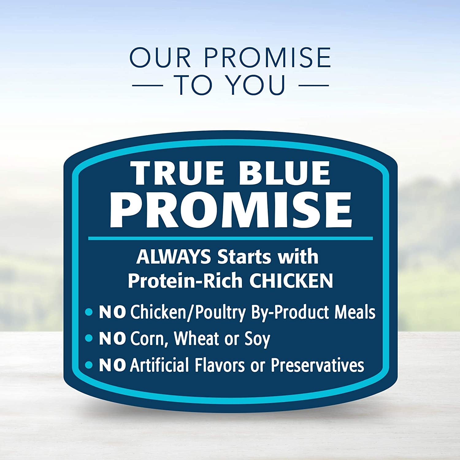 Blue Buffalo Healthy Gourmet Natural Kitten Pate Wet Cat Food Chicken 3-Oz Cans (Pack of 24)