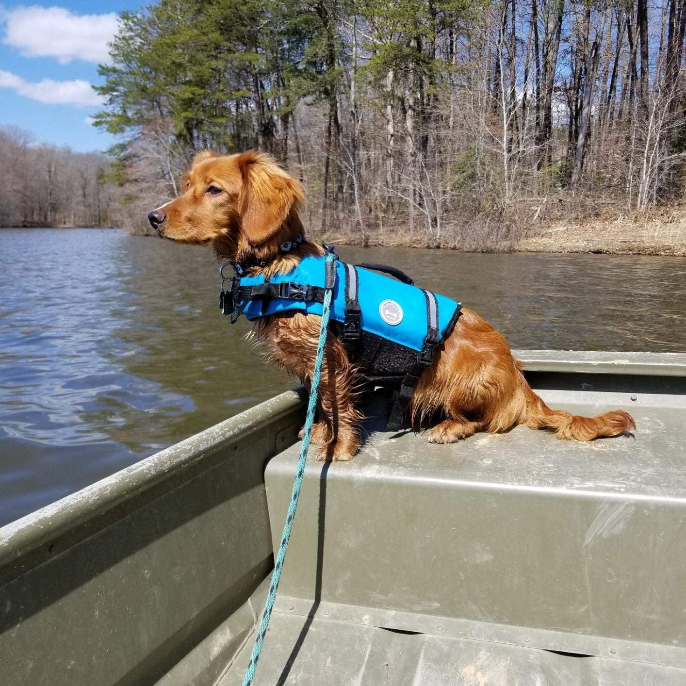 Dog Life Jacket, Dog Life Vest for Swimming & Boating, Ripstop, Blue, Medium