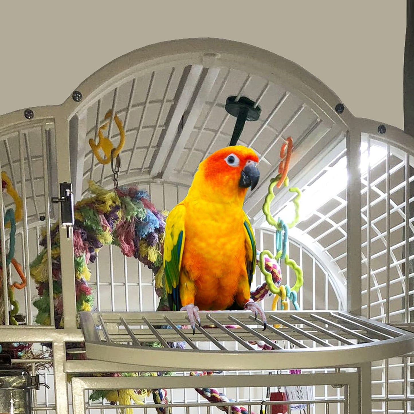- Bird Cage Light with Chew Guard - Full Spectrum LED Pet Light - Simulates Natural Environment - Safe for Destructive Chewers, Parrots Etc. - No Bulbs to Change (24" Long)
