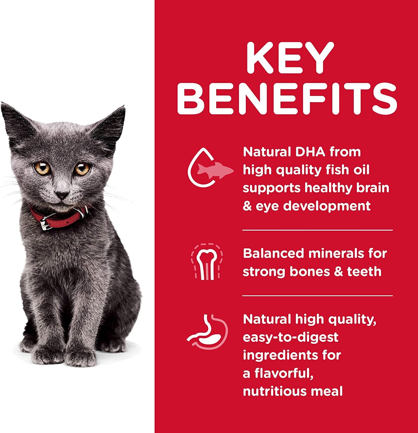 Hill'S Science Diet Dry Cat Food, Kitten, Indoor, Chicken Recipe, 7 Lb. Bag