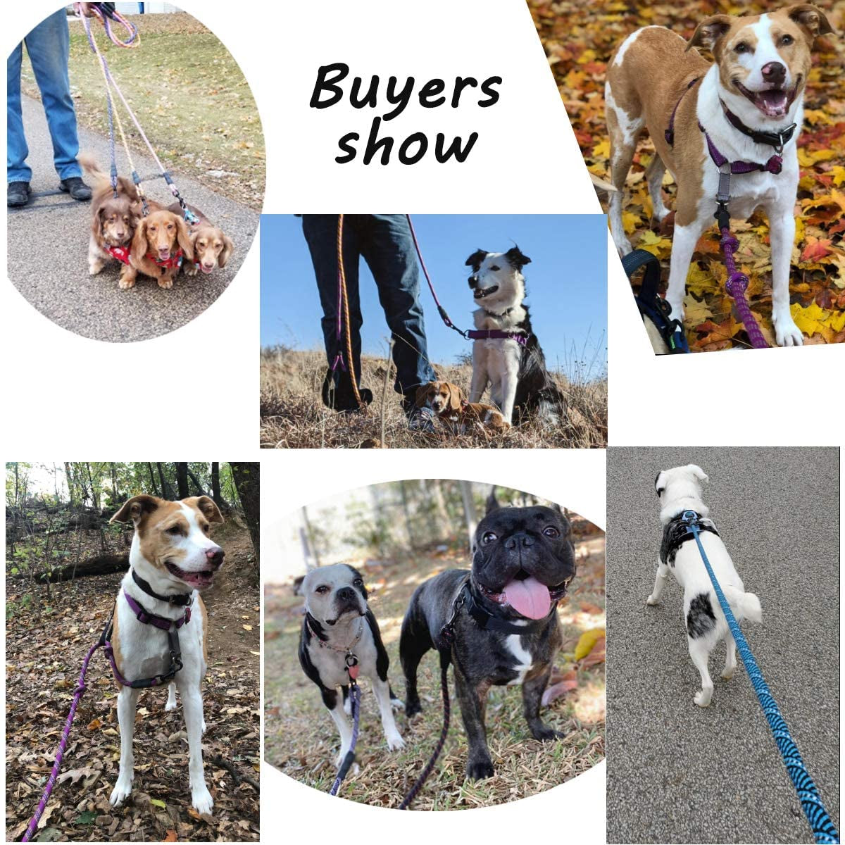 Heavy Duty Rope Dog Leash, 3/4/5/6/7/8/10/12/15 FT Nylon Pet Training Leash, Soft Padded Handle Thick Lead Leash for Large Medium Dogs (1/2" 6', Purple)