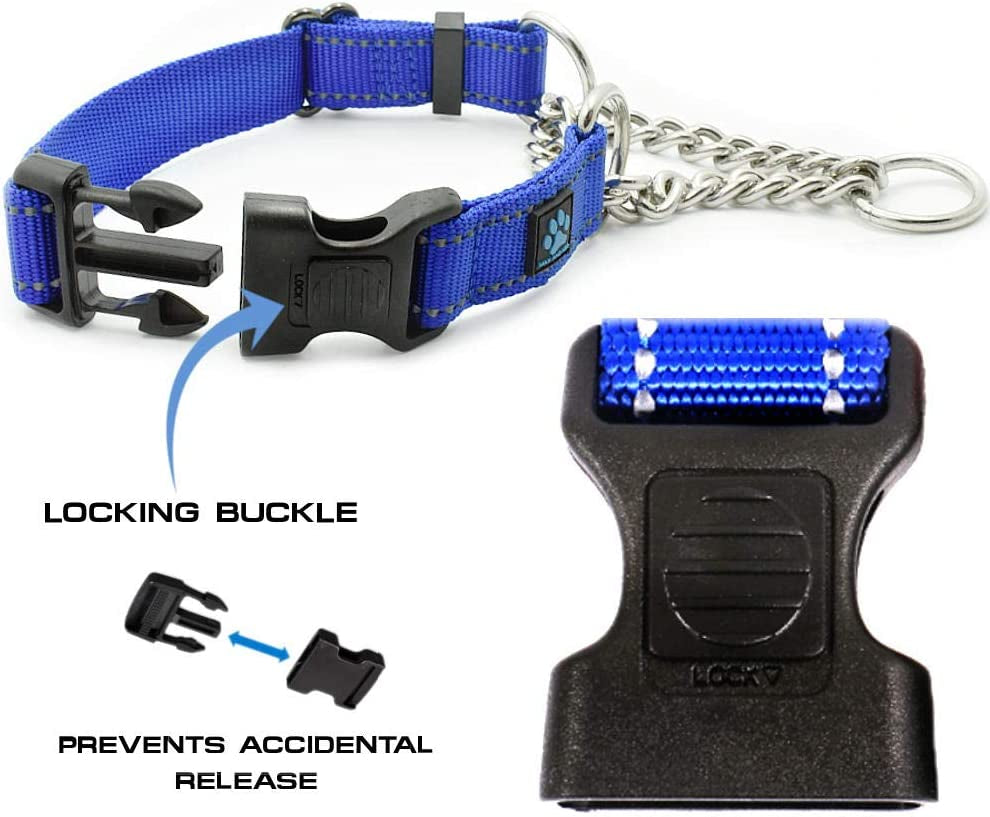 Stainless Steel Chain Martingale Collar - We Donate a Collar to a Dog Rescue for Every Collar Sold (Medium, Blue)