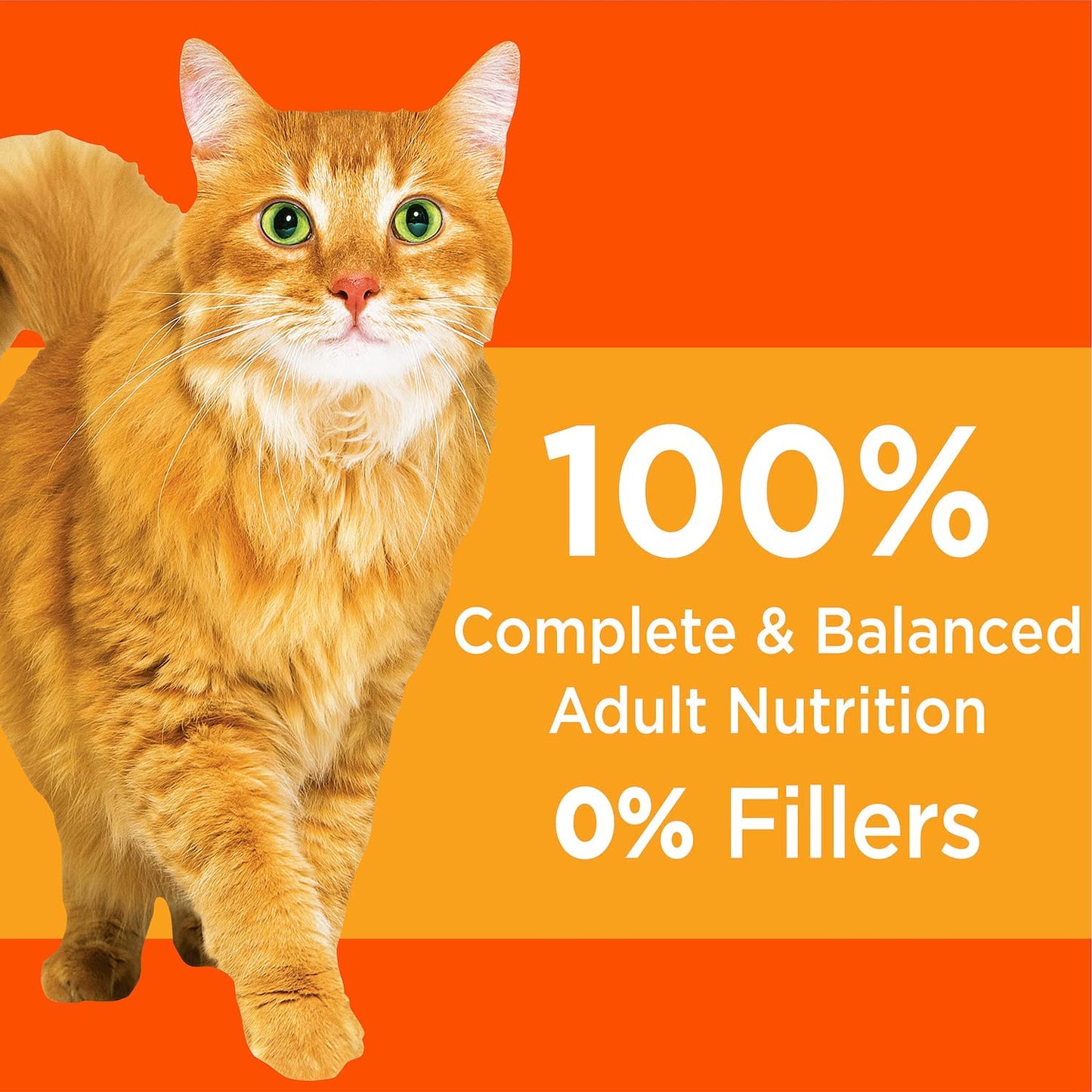 IAMS PROACTIVE HEALTH Adult Healthy Dry Cat Food with Chicken Cat Kibble, 22 Lb. Bag