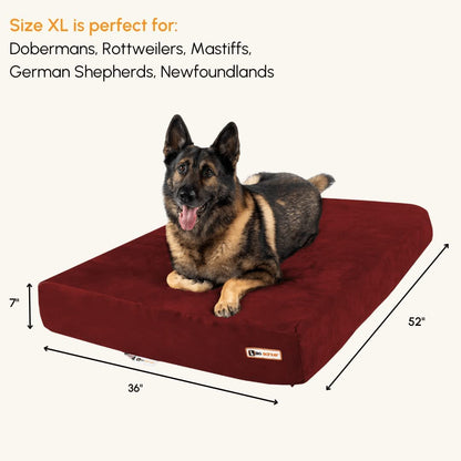 Sleek Orthopedic Dog Bed - 7” Dog Sofa Bed for Large Dogs W/Washable Microsuede Cover - Sleek Elevated Dog Bed Made in the USA W/ 10-Year Warranty (Sleek, XL, Burgundy)