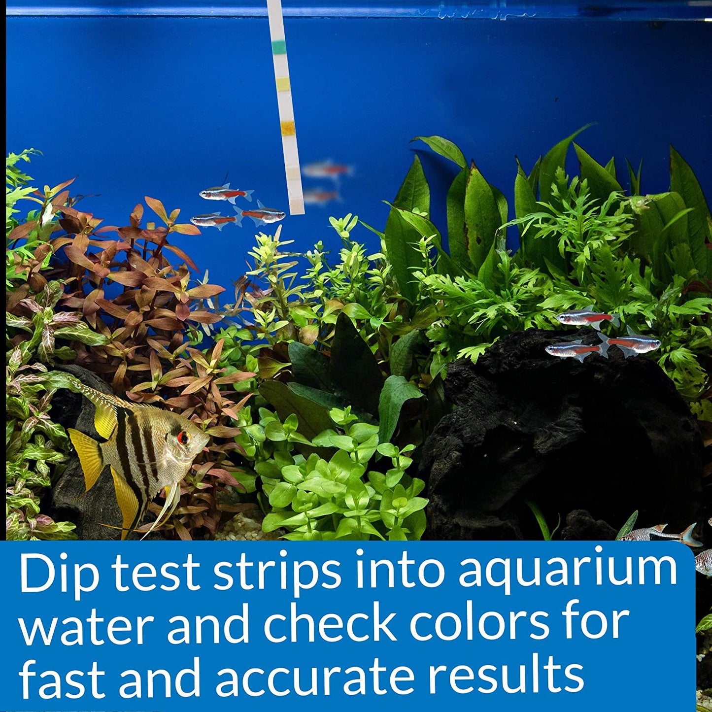 API 5-In-1 Test Strips Freshwater and Saltwater Aquarium Test Strips 25-Count Box