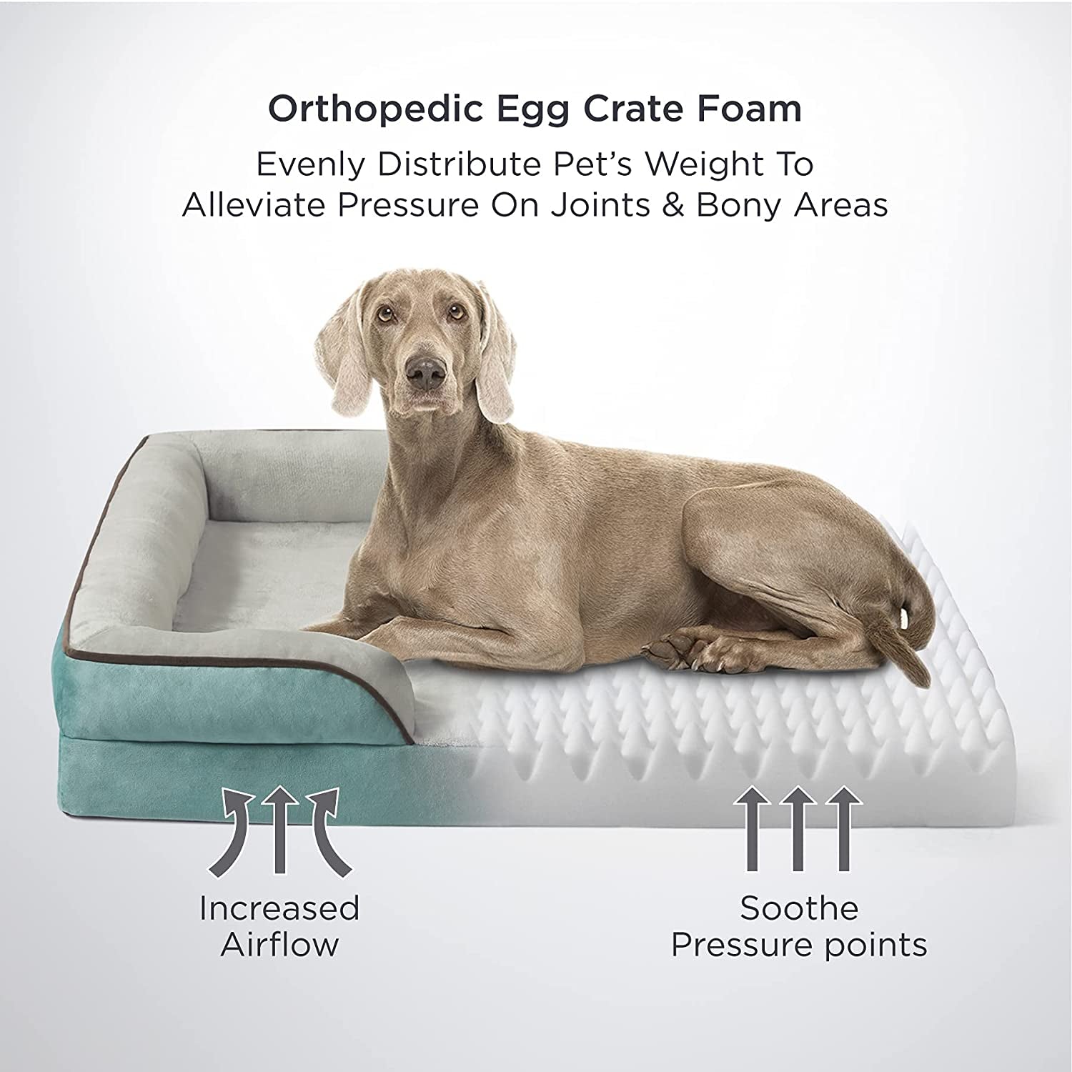 Bedsure Orthopedic Dog Bed for Medium Dogs - Waterproof Medium, Foam Sofa with Removable Washable Cover, Lining and Nonskid Bottom Couch, Pet Bed, Washed Blue