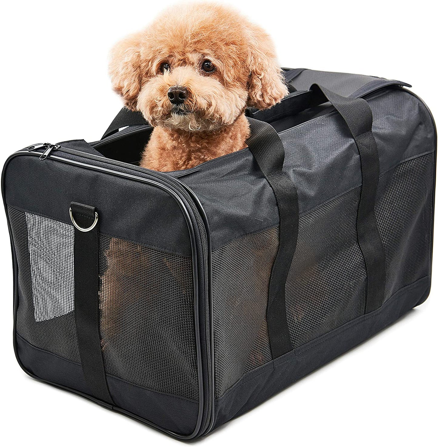 Scratchme Pet Travel Carrier Soft Sided Portable Bag for Cats and Small Dogs, Collapsible, Durable, Airline Approved, Travel Friendly, Carry Your Pet with Safely and Comfortably, Black Large