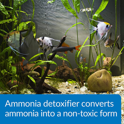 API AMMO-LOCK Freshwater and Saltwater Aquarium Ammonia Detoxifier 16-Ounce Bottle