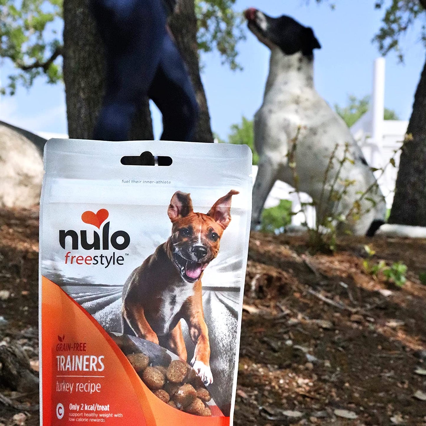 Nulo Freestyle Grain-Free Healthy Dog and Puppy Training Treats, Low Calorie Treats Made with Superfood Boost Ingredients, 2 Calories per Treat
