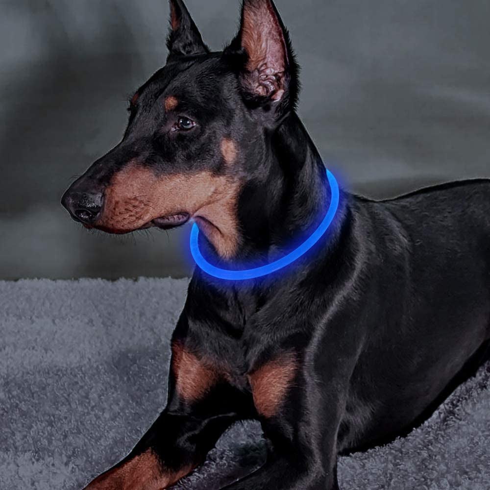 Domagiker USB Rechargeable LED Dog Collar - Reflective Glow in the Dark, Adjustable Light up Collar for Small, Medium & Large Dogs (Blue)