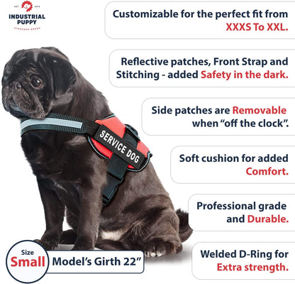 Service Dog Vest with Hook and Loop Straps & Matching Service Dog Leash Set - Harnesses from XXS to XXL - Service Dog Harness Features Reflective Patch and Comfortable Mesh Design (Red, Small)