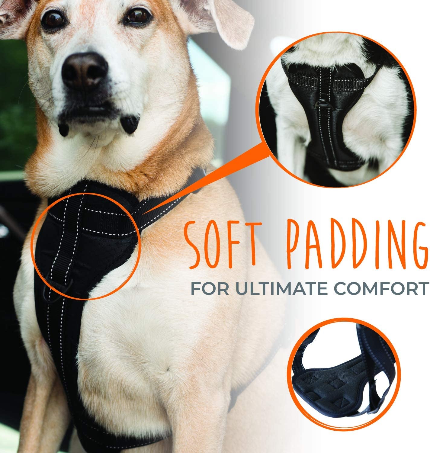 Car Dog Harness, Vehicle Safety Harness with Adjustable Straps and Soft Padding, Doubles as a Standard Harness with a No Pull Front Leash Attachment
