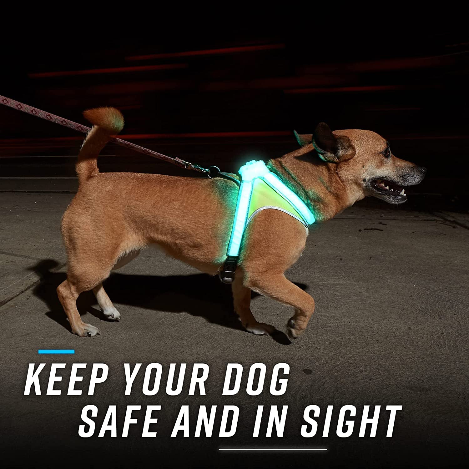 Lighthound – Revolutionary Illuminated and Reflective Harness for Dogs Including Multicolored LED Fiber Optics (USB Rechargeable, Adjustable, Lightweight, Rainproof) (Small)