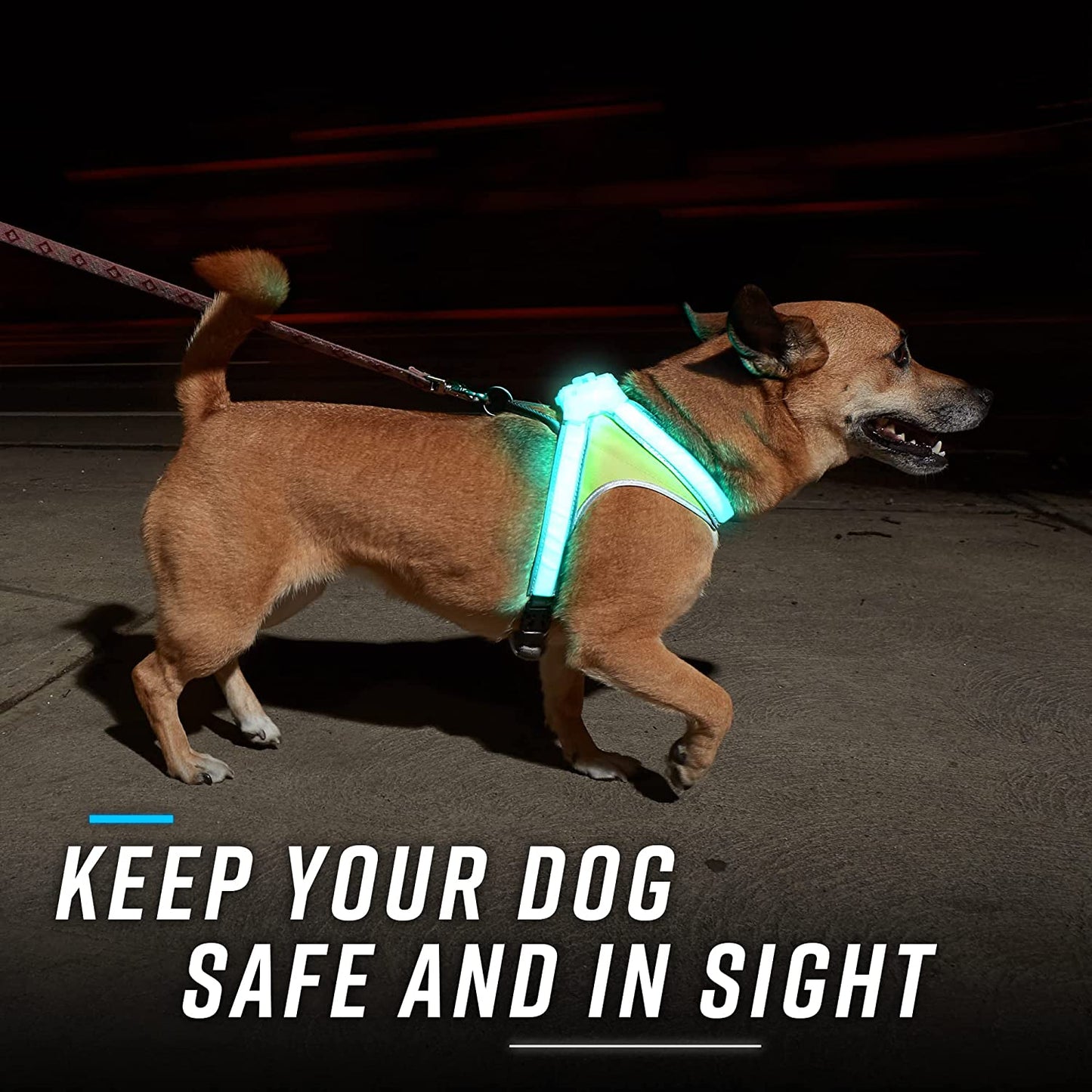 Lighthound - Multicolor LED Illuminated, Reflective Dog Harness (Medium)