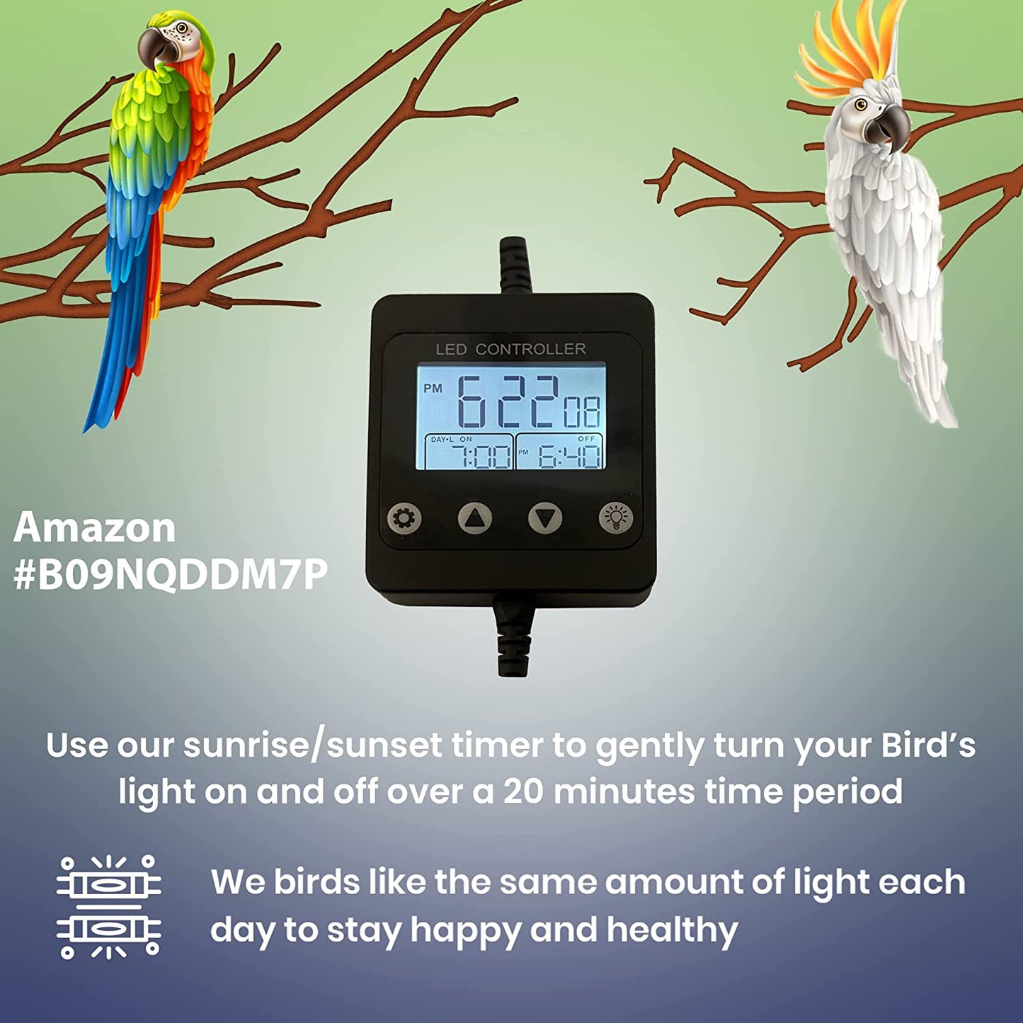 - Bird Cage Light with Chew Guard - Full Spectrum LED Pet Light - Simulates Natural Environment - Safe for Destructive Chewers, Parrots Etc. - No Bulbs to Change (24" Long)