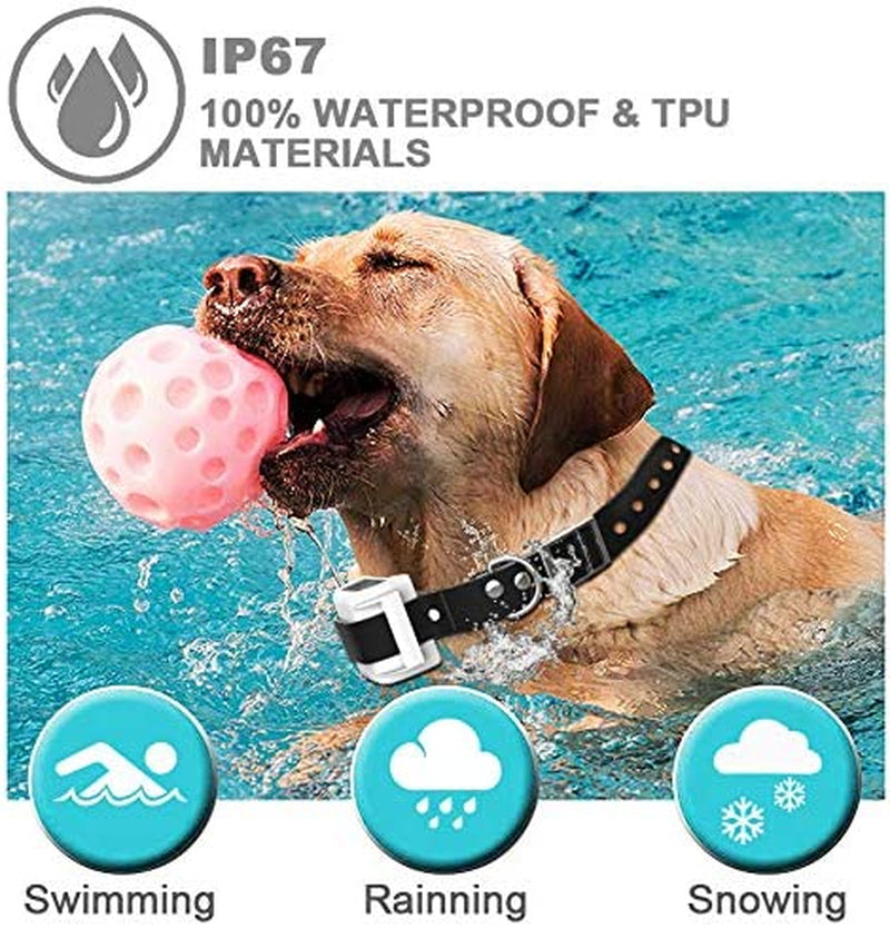Latest Dog Fence Wireless System, Pet Containment System, Pets Dog Containment System Boundary Container with IP65 Waterproof Dog Training Collar Receiver