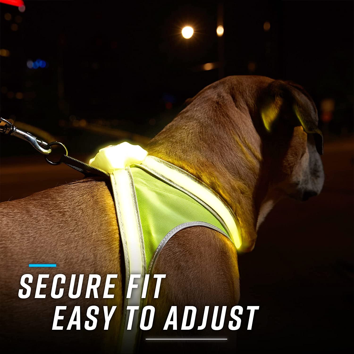 Lighthound - Multicolor LED Illuminated, Reflective Dog Harness (Medium)
