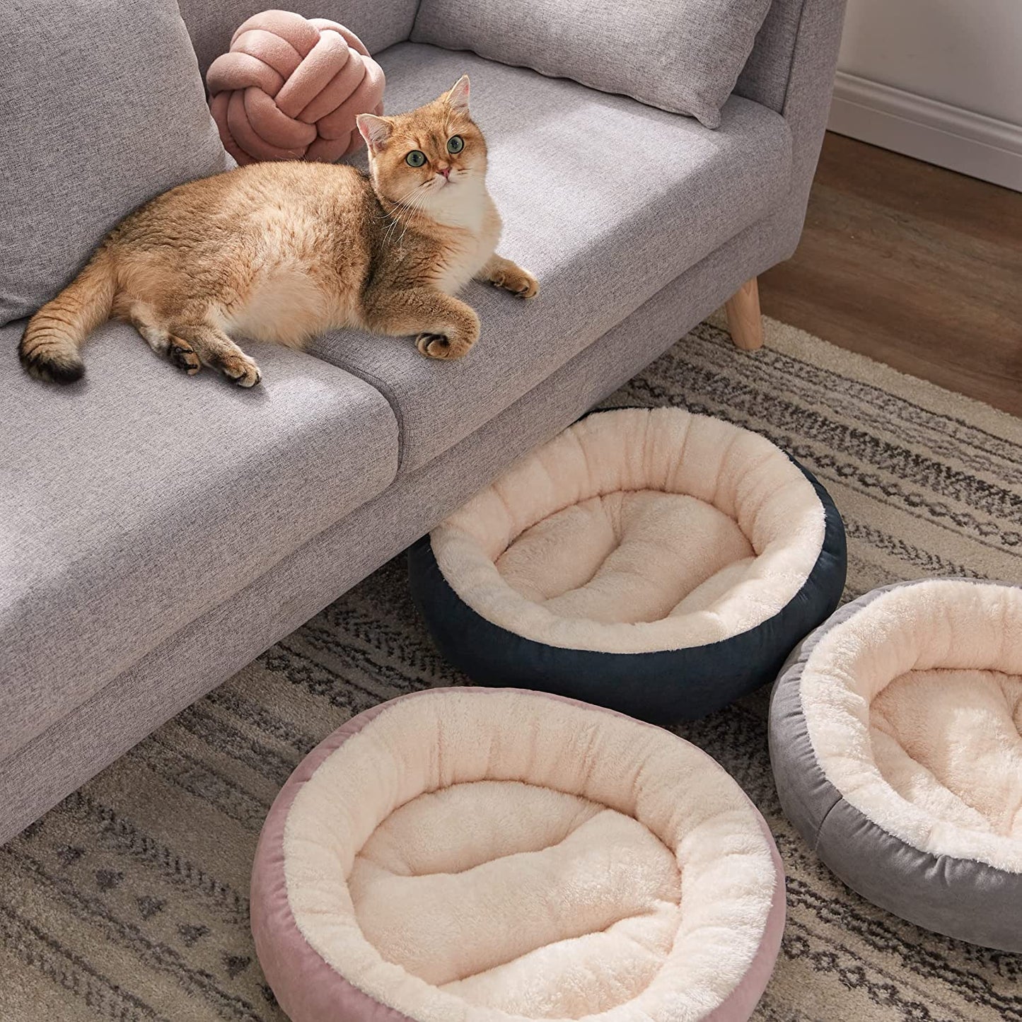 Cat Bed for Indoor Cats, Machine Washable Cat Beds, 20 Inch Pet Bed for Cats or Small Dogs,Anti-Slip & Water-Resistant Bottom
