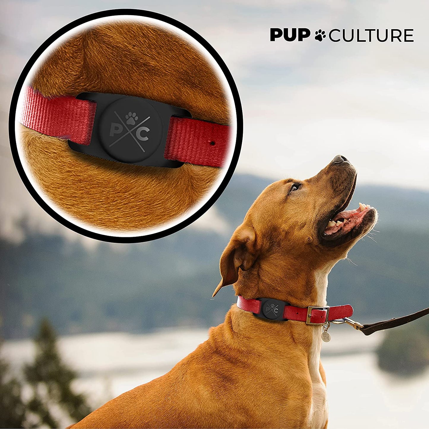 Airtag Dog Collar Holder, Extra-Durable, Lightweight, and Protective Airtag Case for Dog Collar - Track Your Pet Using Apple Airtag Technology - Dog Collar Airtag Holder -For Dogs and Cats