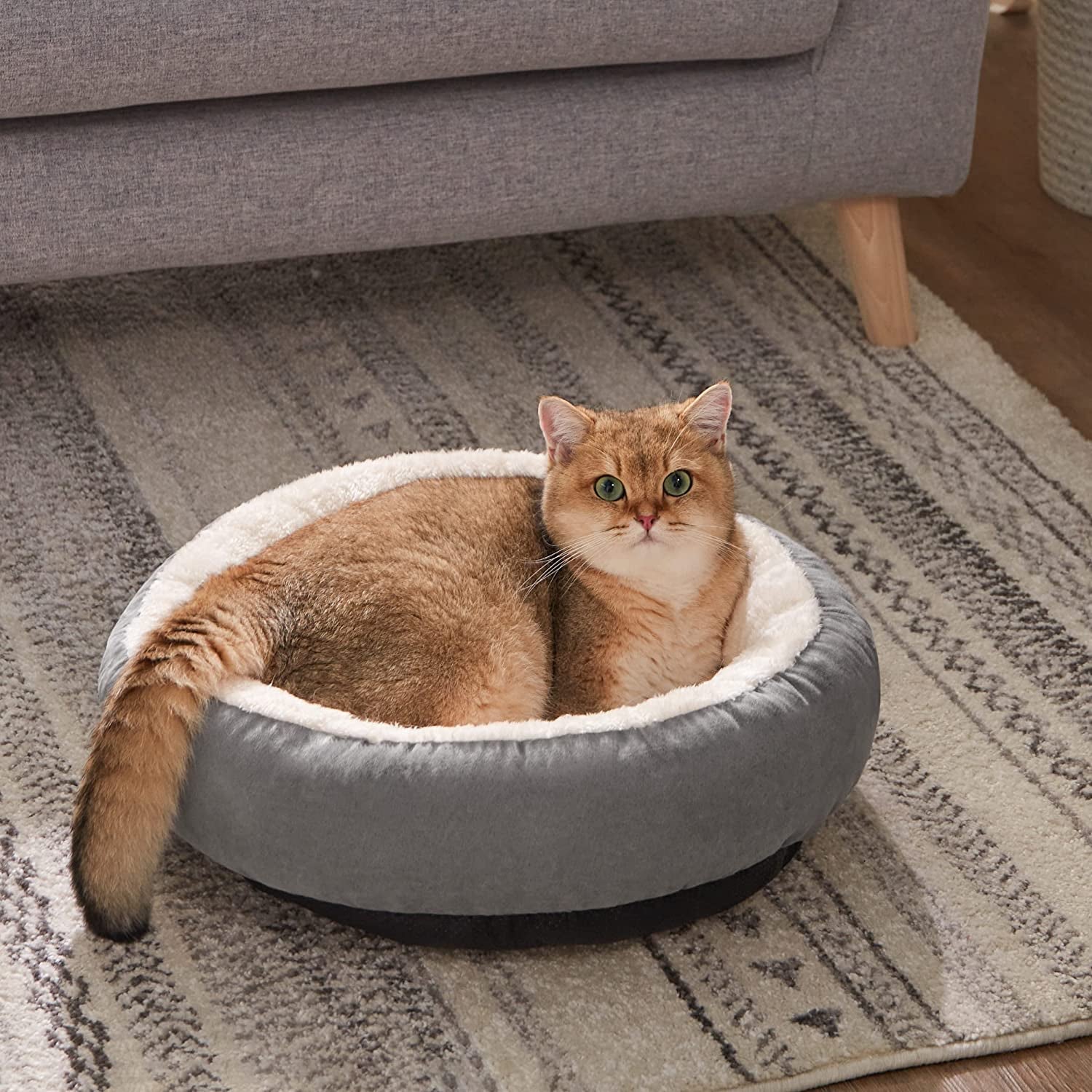 Cat Bed for Indoor Cats, Machine Washable Cat Beds, 20 Inch Pet Bed for Cats or Small Dogs,Anti-Slip & Water-Resistant Bottom