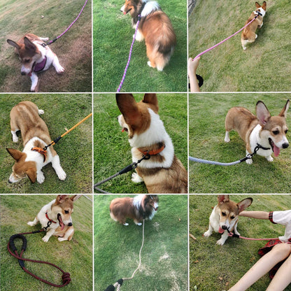 Heavy Duty Rope Dog Leash, 3/4/5/6/7/8/10/12/15 FT Nylon Pet Training Leash, Soft Padded Handle Thick Lead Leash for Large Medium Dogs (1/2" 6', Purple)
