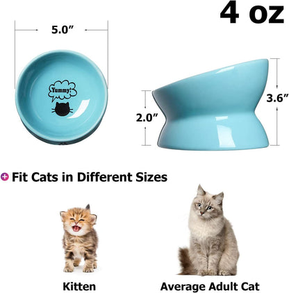 Elevated Cat Food Bowl, Ceramic Raised Cat Bowl, Tilt Angle Protect Cat'S Spine, anti Vomiting Cat Dish, Backflow Prevention, Lake Blue