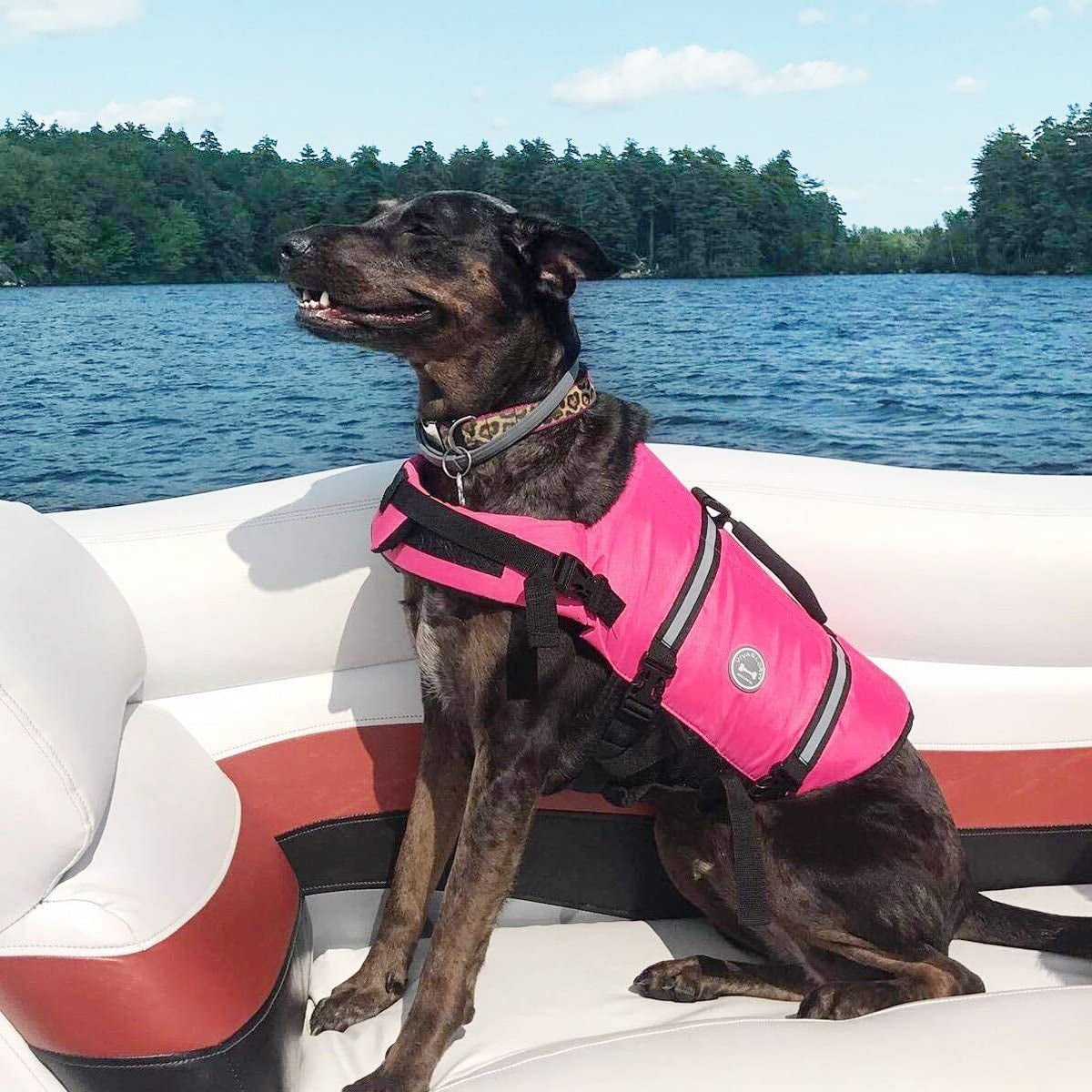 Dog Life Jacket, Dog Life Vest for Swimming & Boating, Ripstop, Pink, Medium