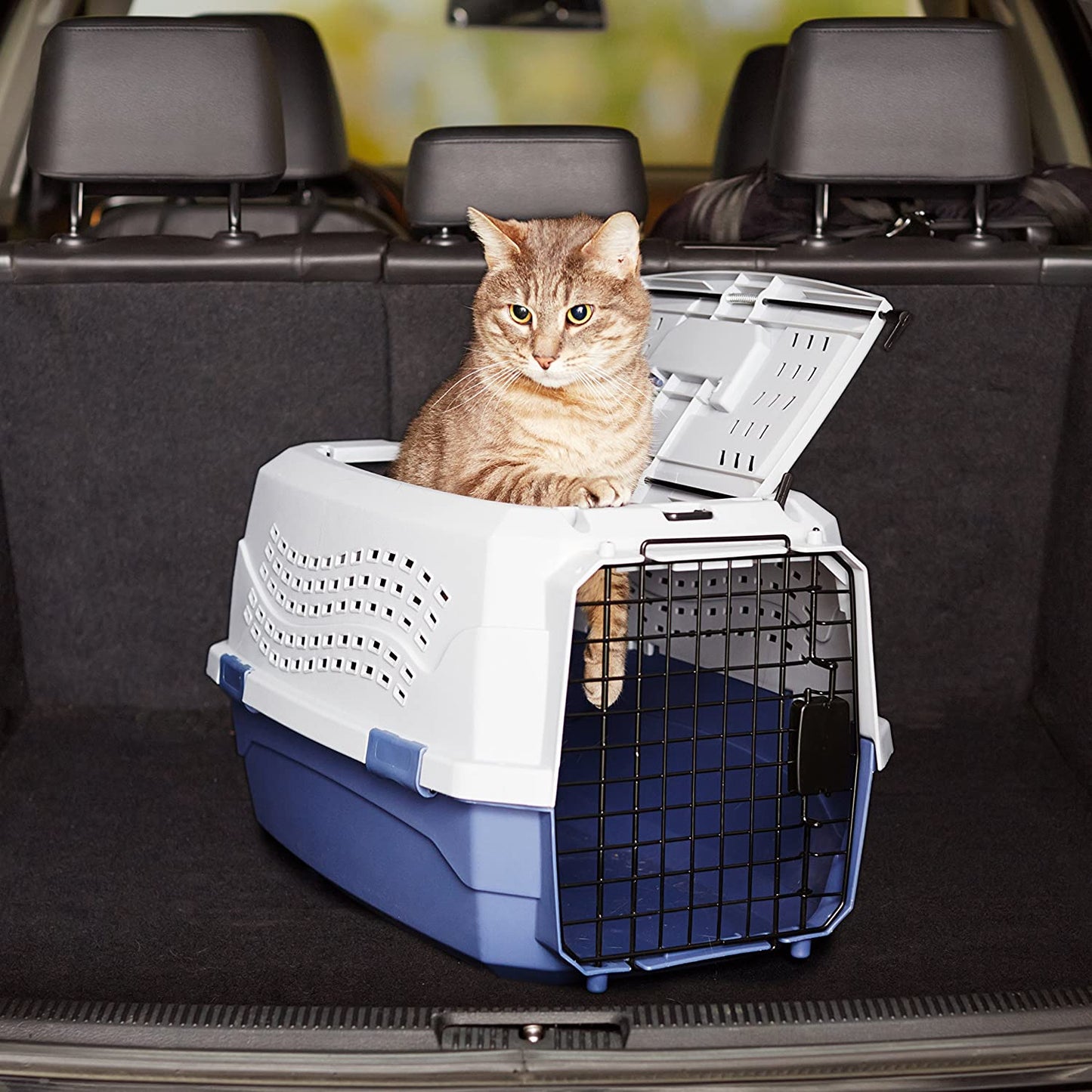 2-Door Top Load Hard Sided Dog and Cat Kennel Travel Carrier, 23-Inch, Gray & Blue