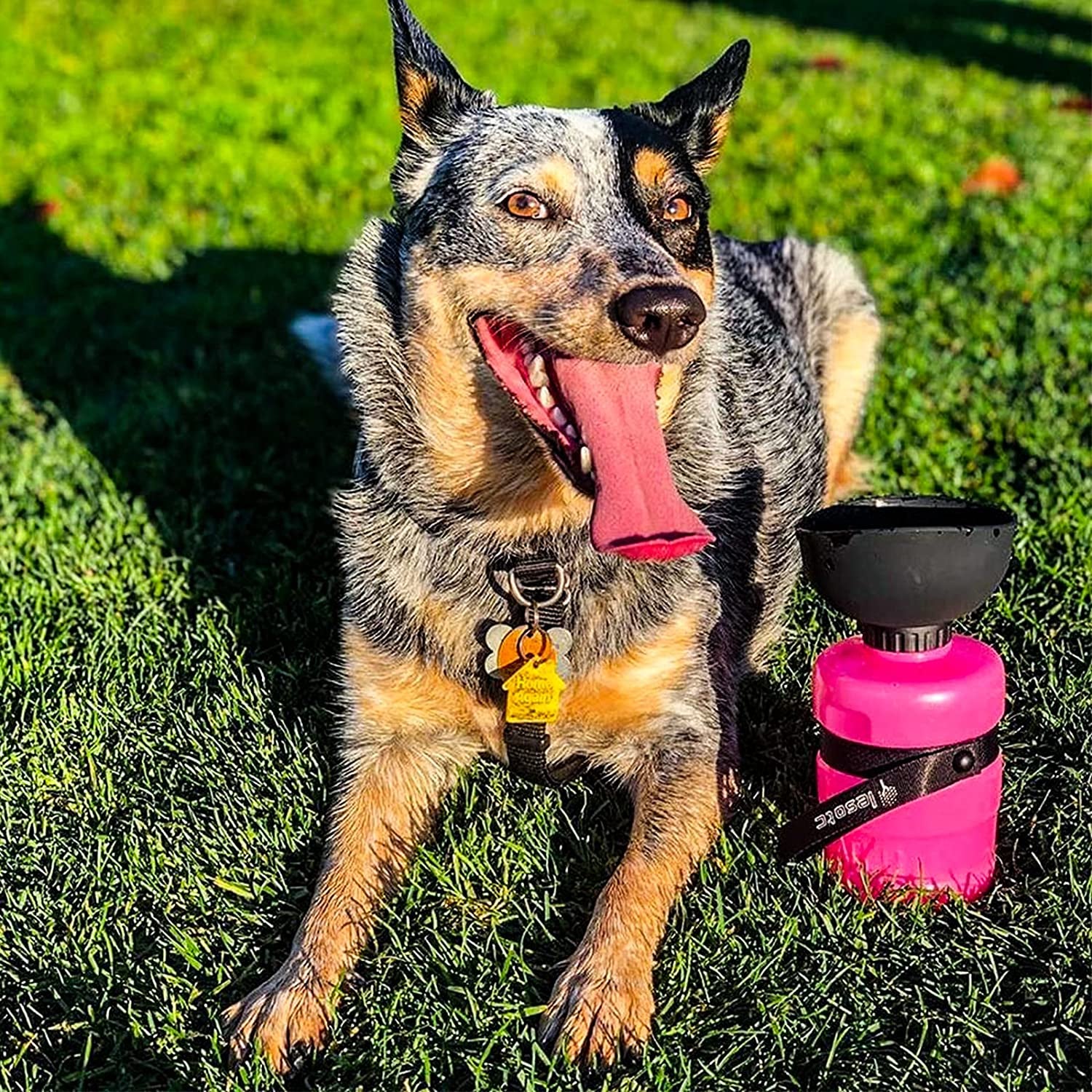 Upgraded Dog Water Bottle Foldable,Portable Dog Water Dispenser,Leak Proof Pet Water Bottle for Dogs,Dog Travel Water Bottle for Outdoor Walking,Hiking,Travel,Bpa Free,Lightweight